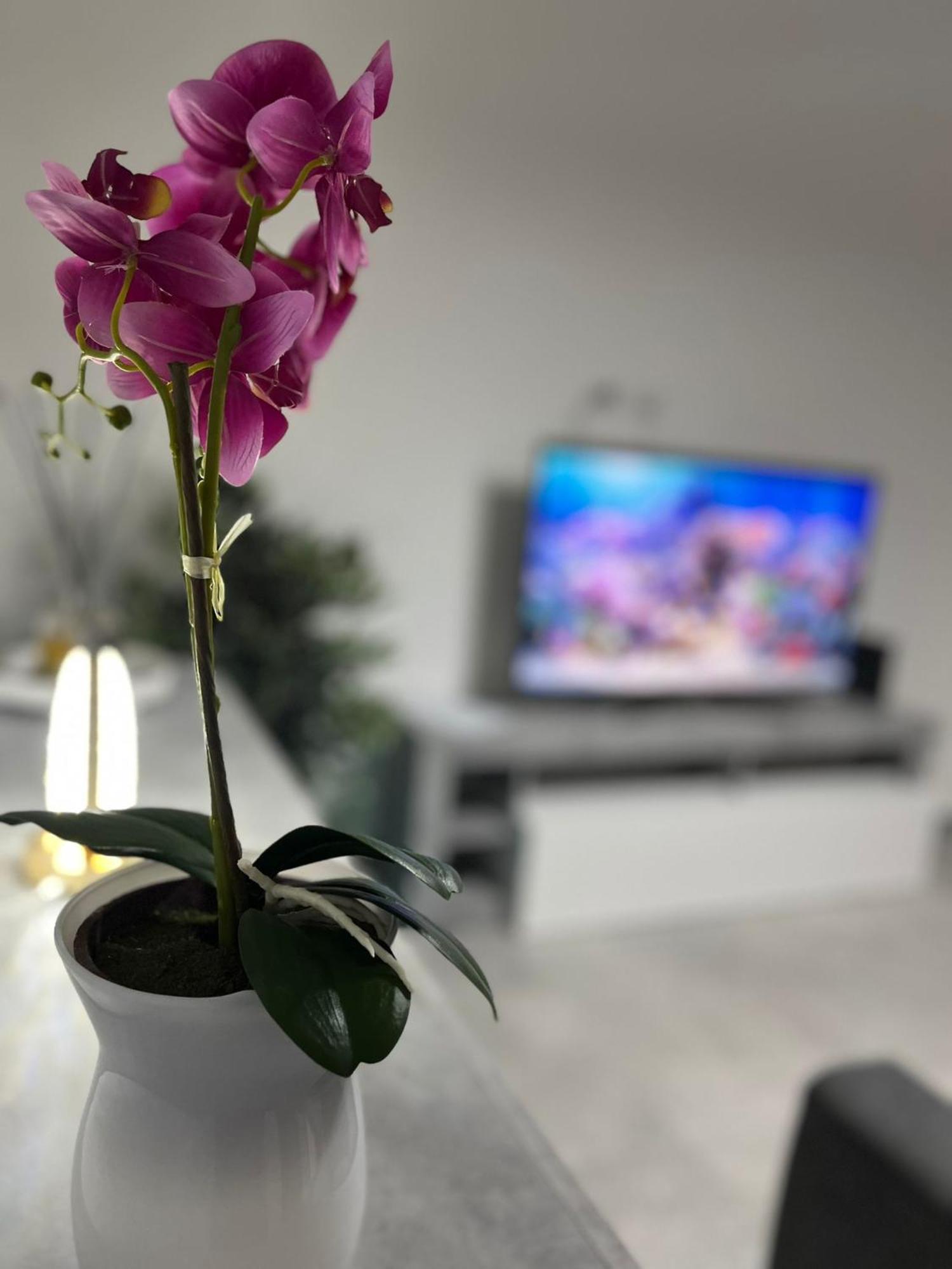 Goodbye Moon Apartment Brindisi Zewnętrze zdjęcie